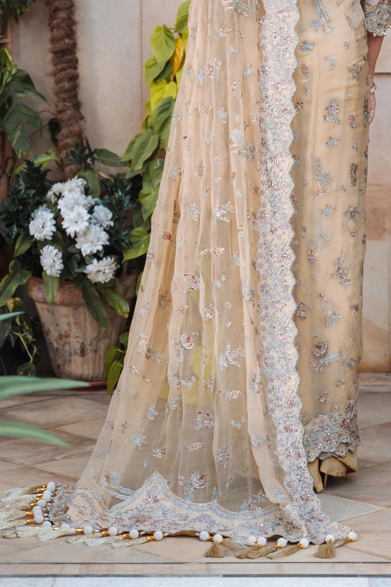 EMBROIDERED CHIFFON - FW25-008 - UNSTITCHED