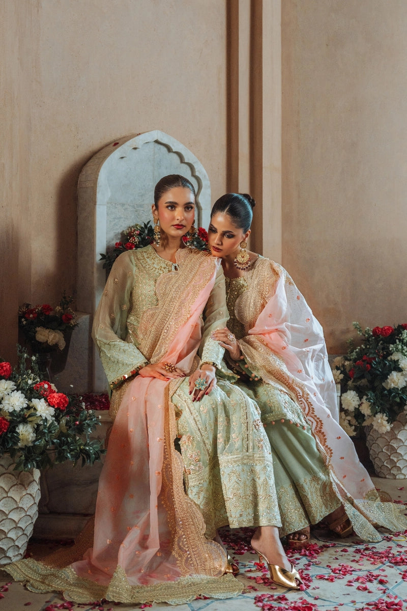 EMBROIDERED CHIFFON - FW25-001 - UNSTITCHED