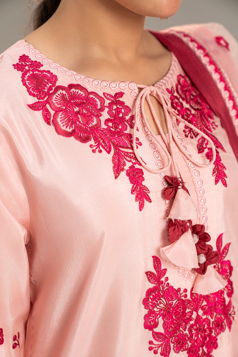 Embroidered Silk Pret - 26-01 - Ready to Wear